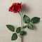 Princess Rose by Ashland®